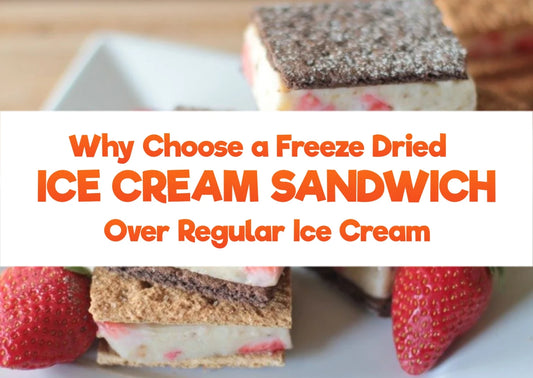 Freeze Dried Ice Cream Sandwich 