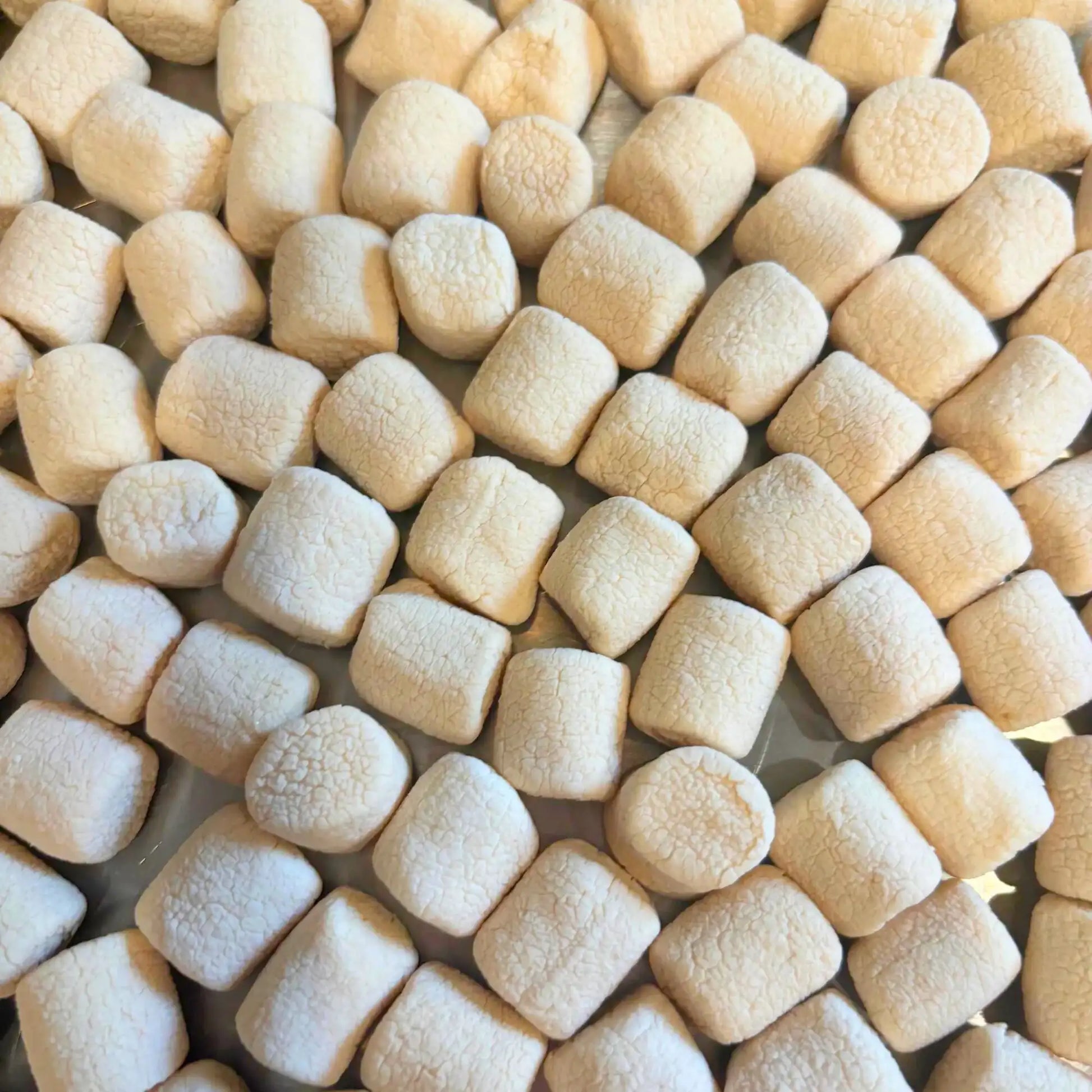 freeze dried maple marshmallows